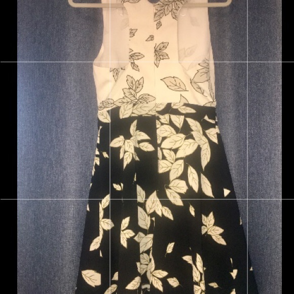 Zara Dress - Picture 2 of 3